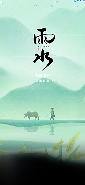 大气传统二十四节气雨水海报