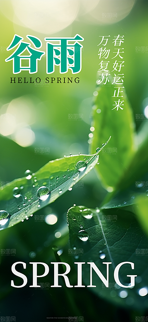 传统二十四节气谷雨宣传活动海报