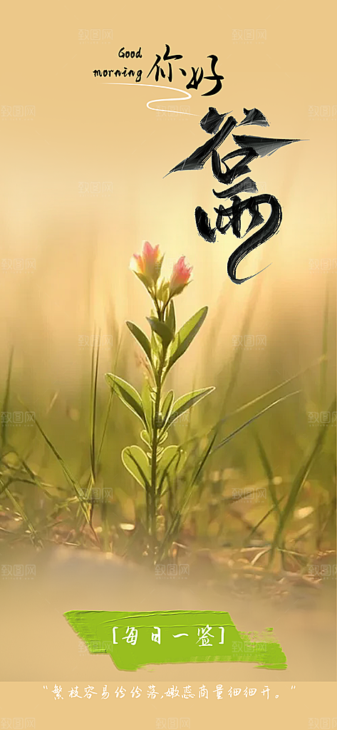 传统二十四节气谷雨宣传活动海报