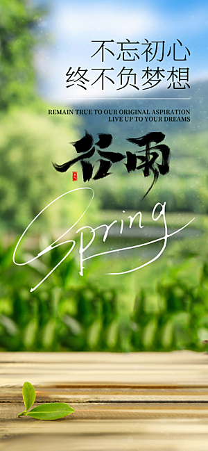 传统二十四节气谷雨宣传活动海报