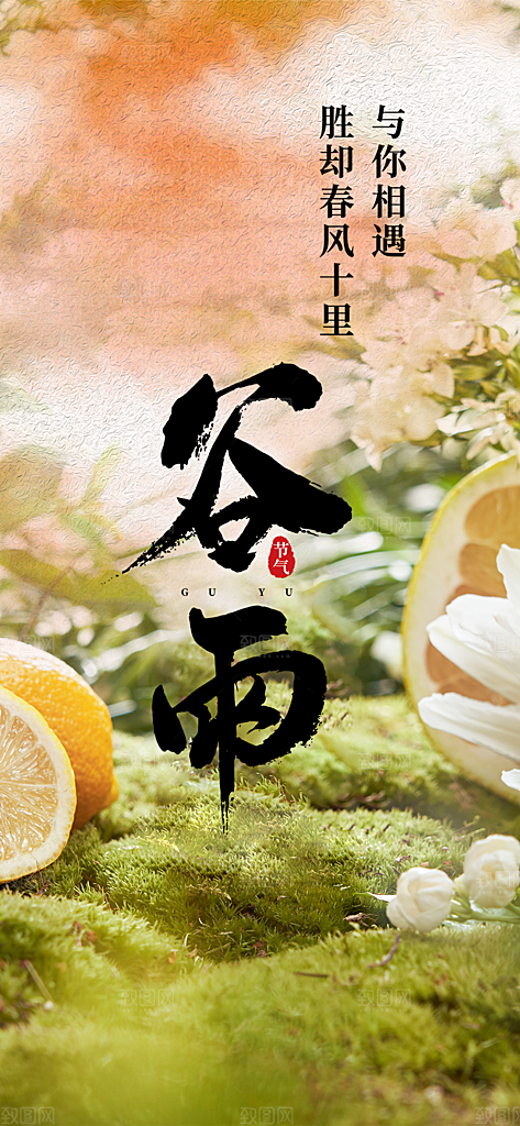 传统二十四节气谷雨宣传活动海报