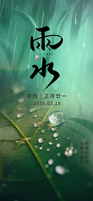 传统二十四节气雨水海报