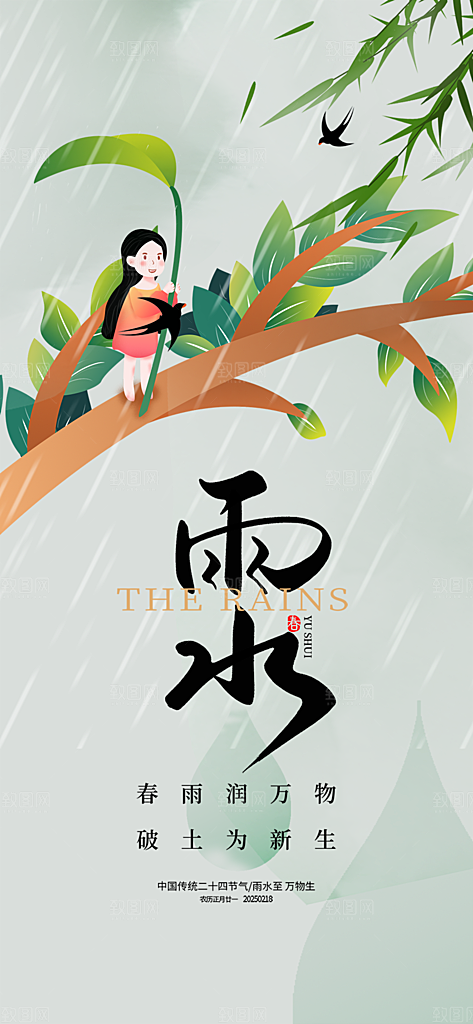 大气传统二十四节气雨水海报
