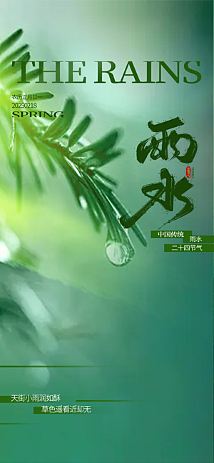大气传统二十四节气雨水海报
