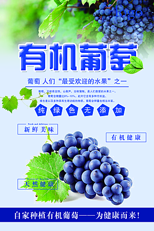 新鲜葡萄活动促销宣传海报