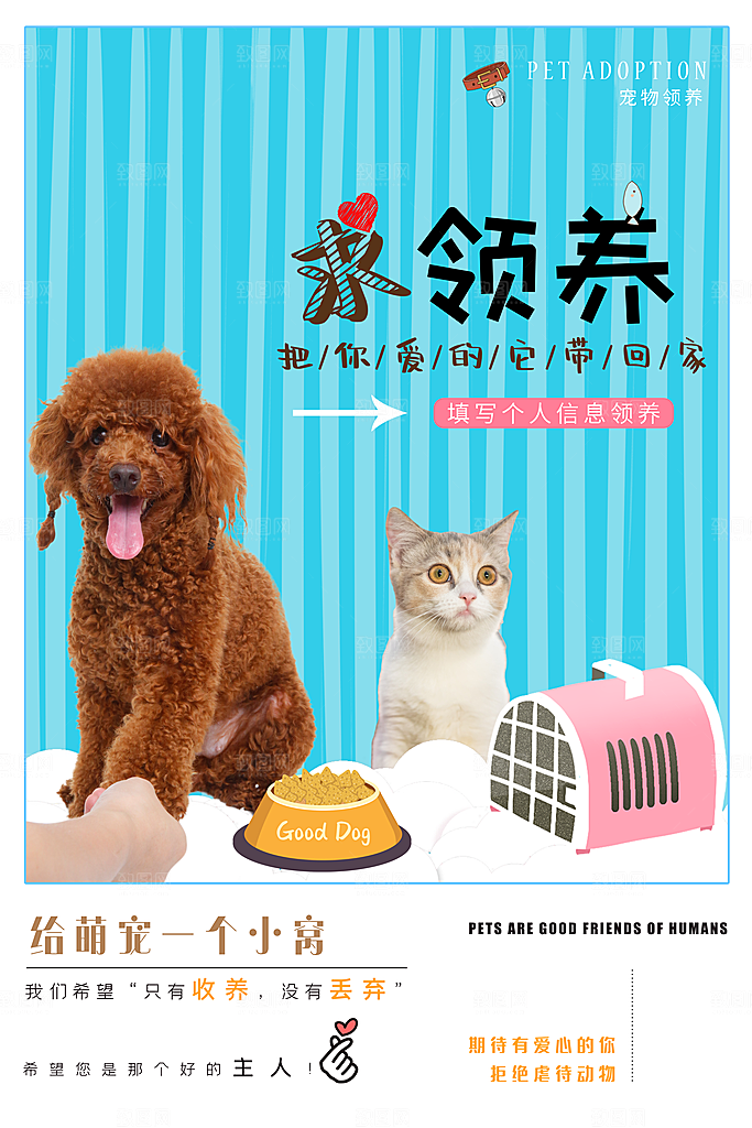 宠物医院宠物美容用品店文明养宠萌宠海报