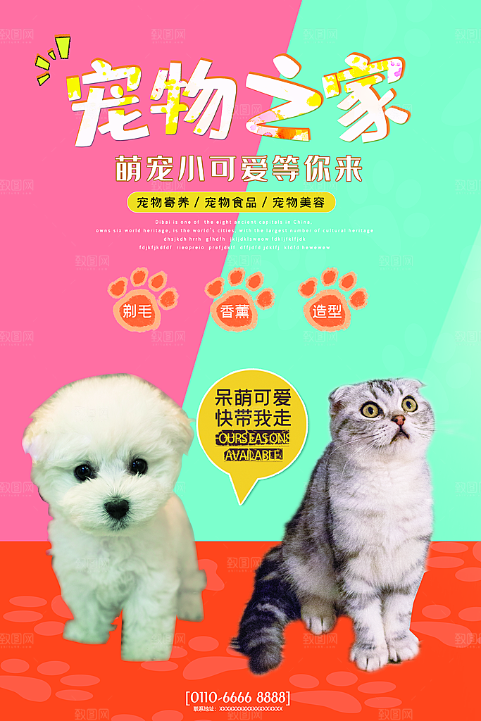 宠物医院宠物美容用品店文明养宠萌宠海报