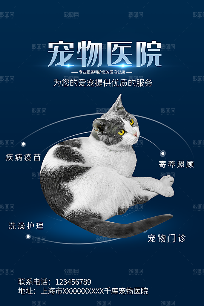 宠物医院宠物美容用品店文明养宠萌宠海报