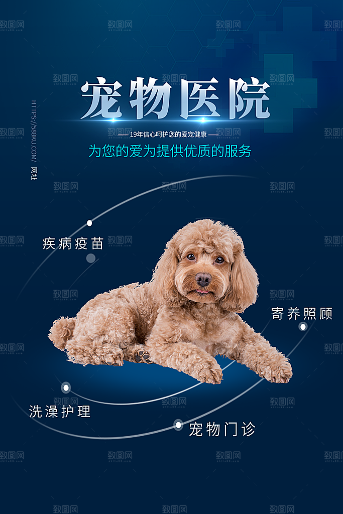 宠物医院宠物美容用品店文明养宠萌宠海报