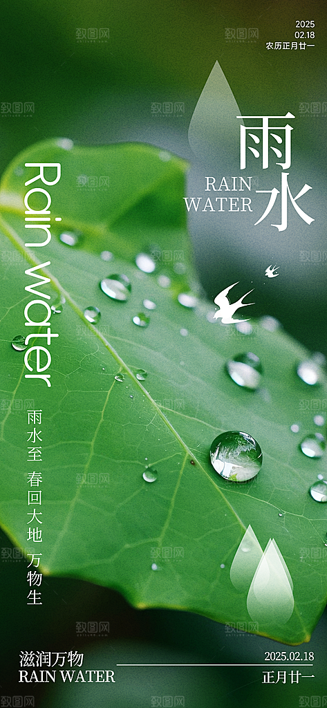 雨水二十四节气海报