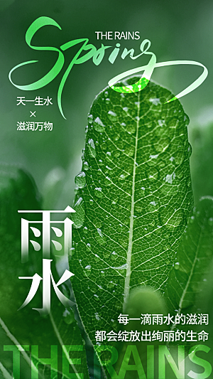 雨水二十四节气海报