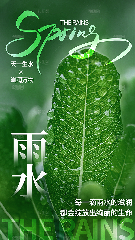 雨水二十四节气海报