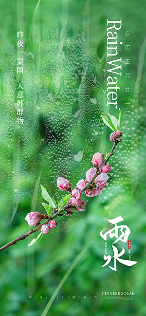 二十四节气雨水海报