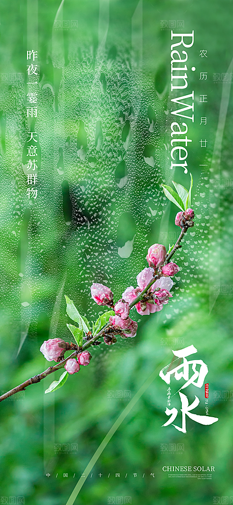 二十四节气雨水海报