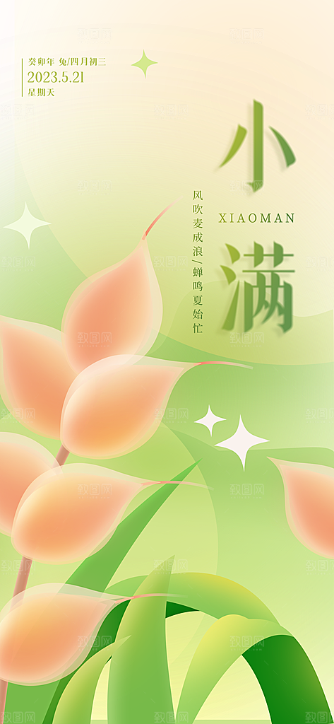 小满二十四节气海报