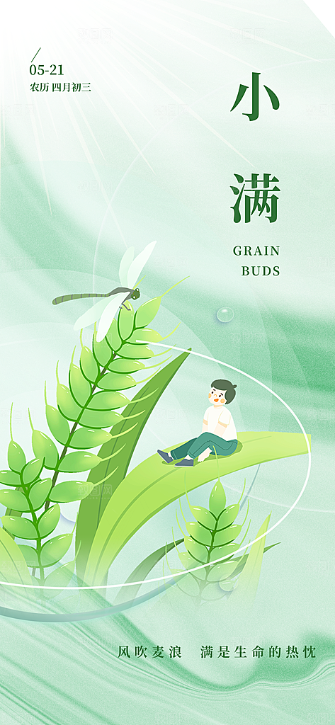 小满二十四节气海报