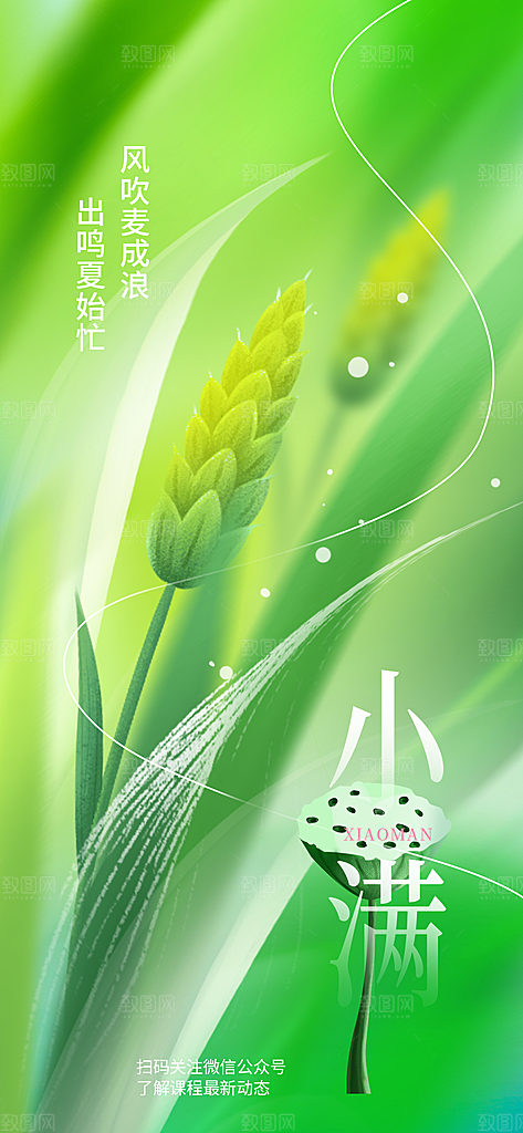 小满二十四节气海报