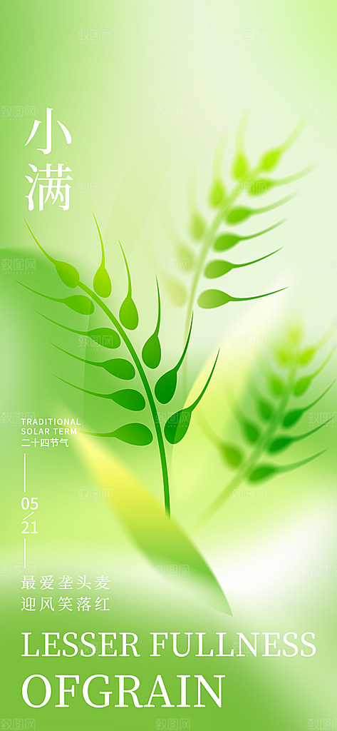 小满二十四节气海报