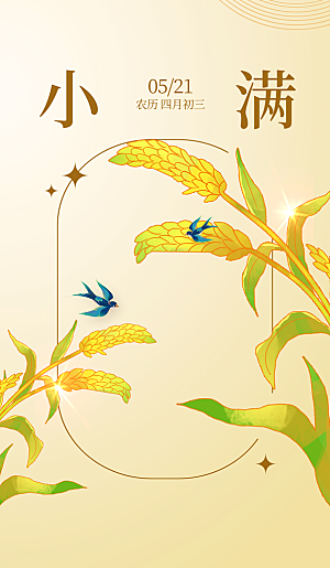 二十四节气小满海报