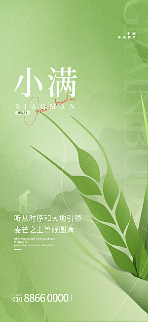 二十四节气小满海报