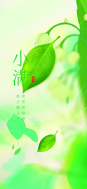 小满二十四节气海报