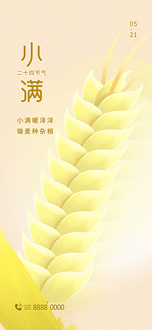 小满二十四节气海报