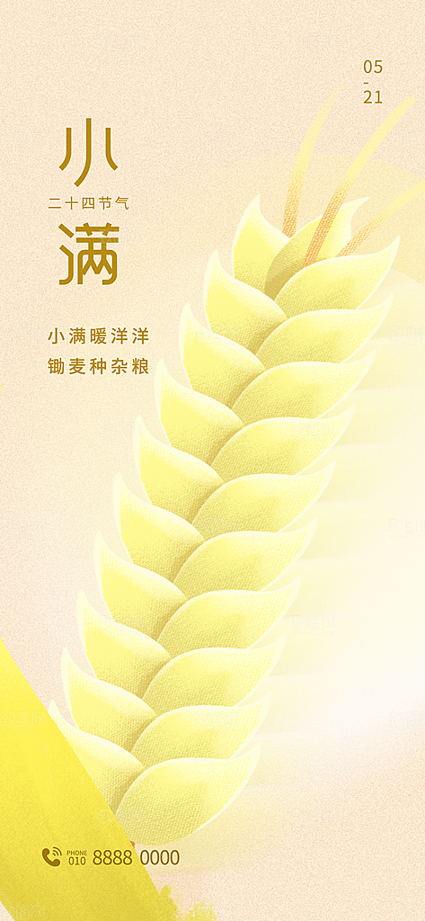小满二十四节气海报