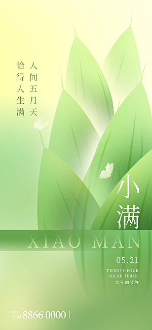 小满二十四节气海报