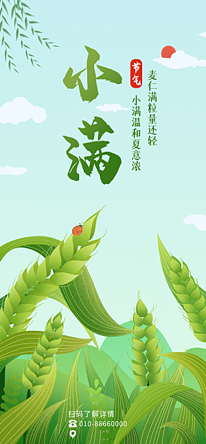 小满二十四节气海报