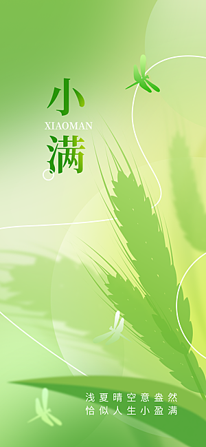 小满二十四节气海报