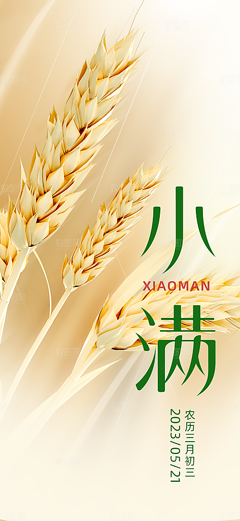 小满二十四节气海报