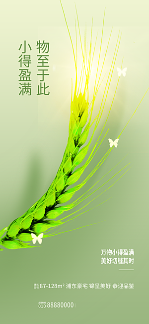 小满二十四节气海报