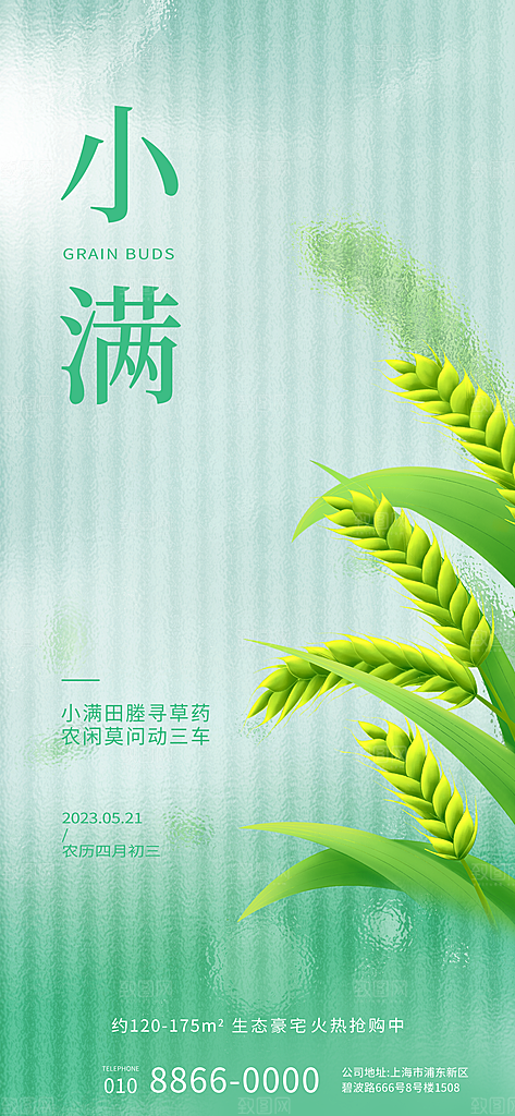 二十四节气小满海报