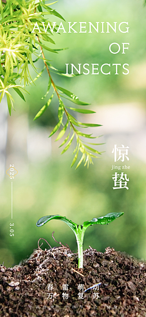 惊蛰二十四节气海报