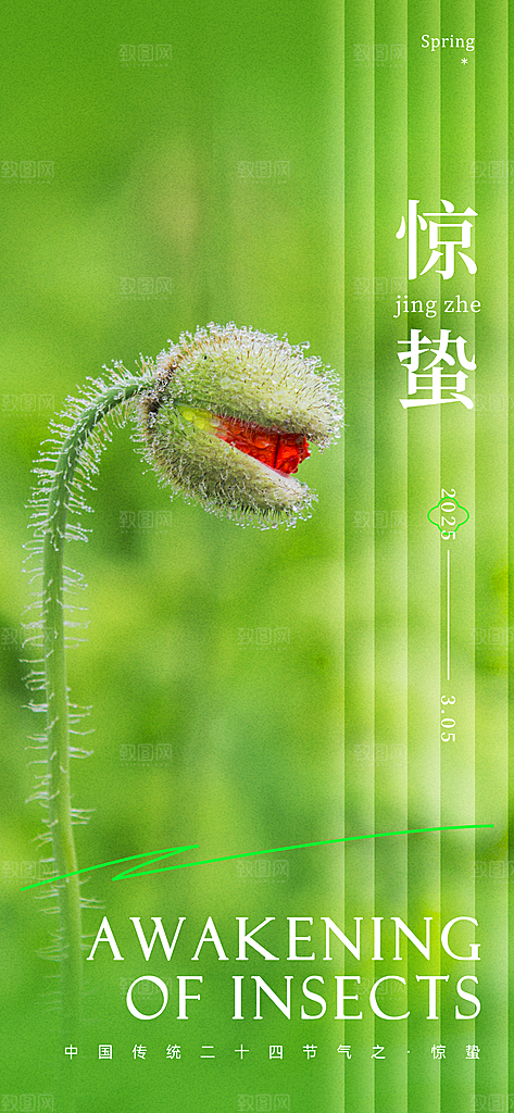 二十四节气惊蛰海报