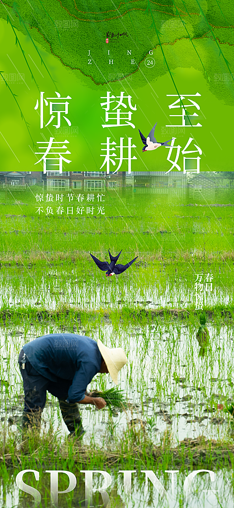 二十四节气惊蛰海报