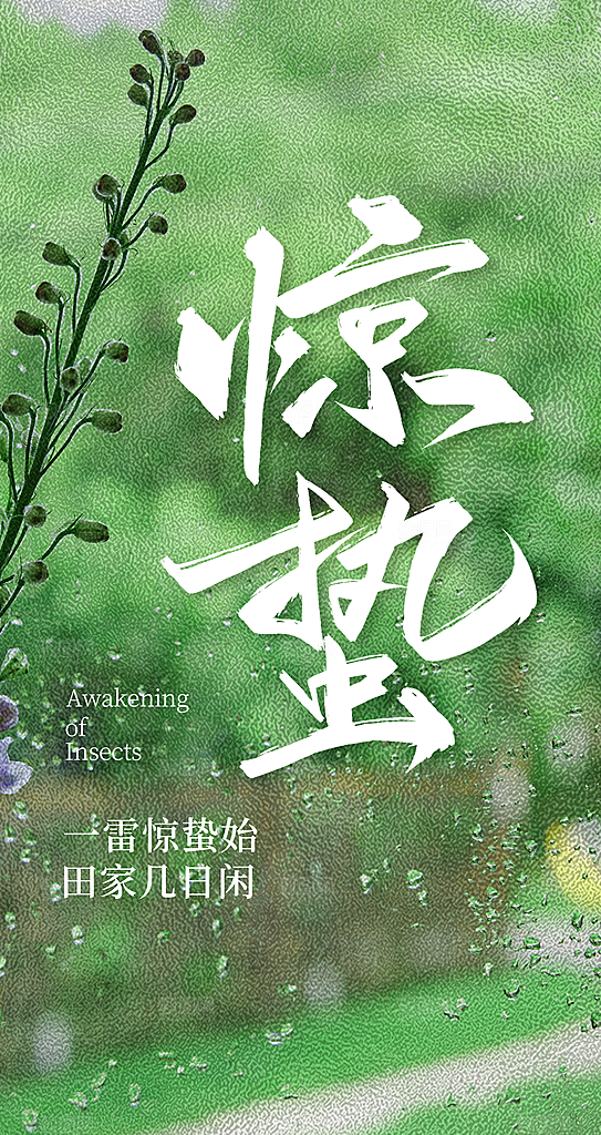 惊蛰二十四节气海报