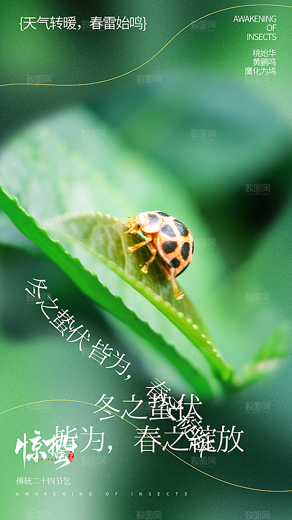 二十四节气惊蛰海报