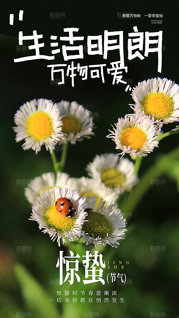 二十四节气惊蛰海报