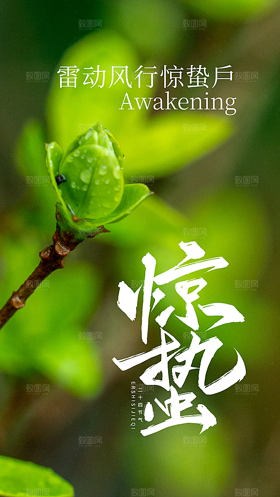 二十四节气惊蛰海报