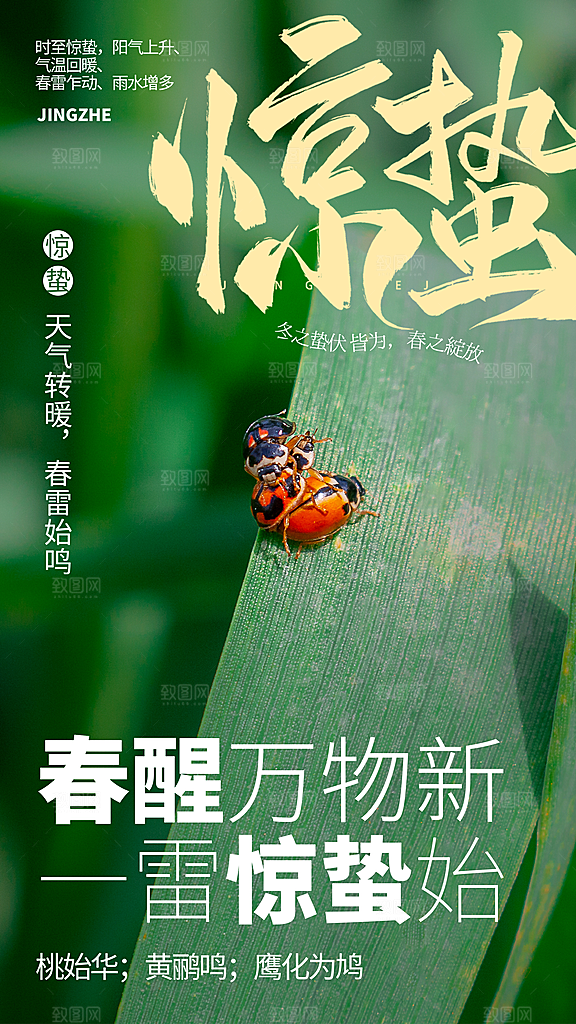 二十四节气惊蛰海报