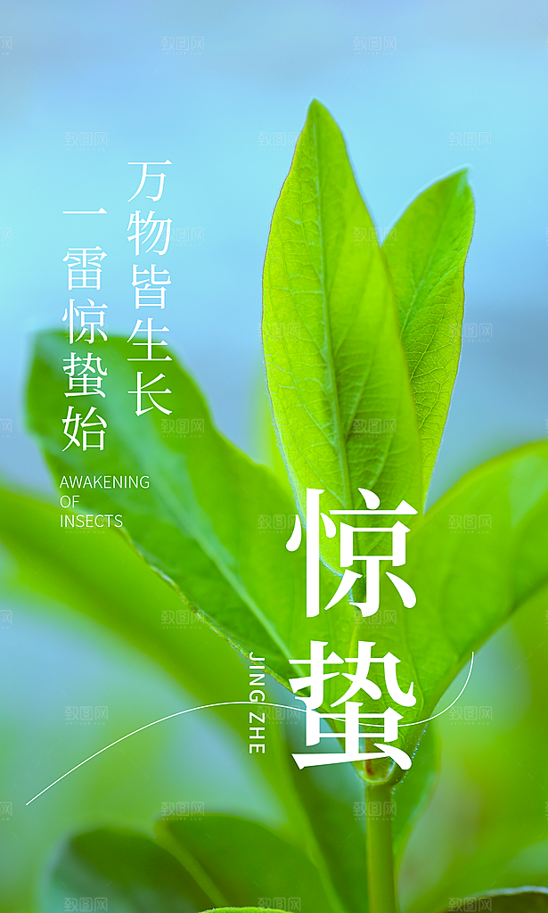 二十四节气惊蛰海报