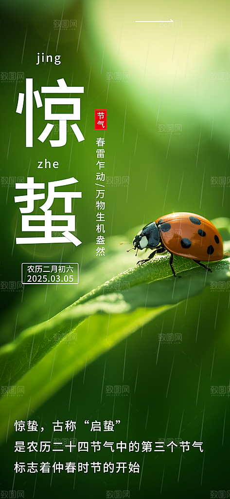 惊蛰二十四节气海报