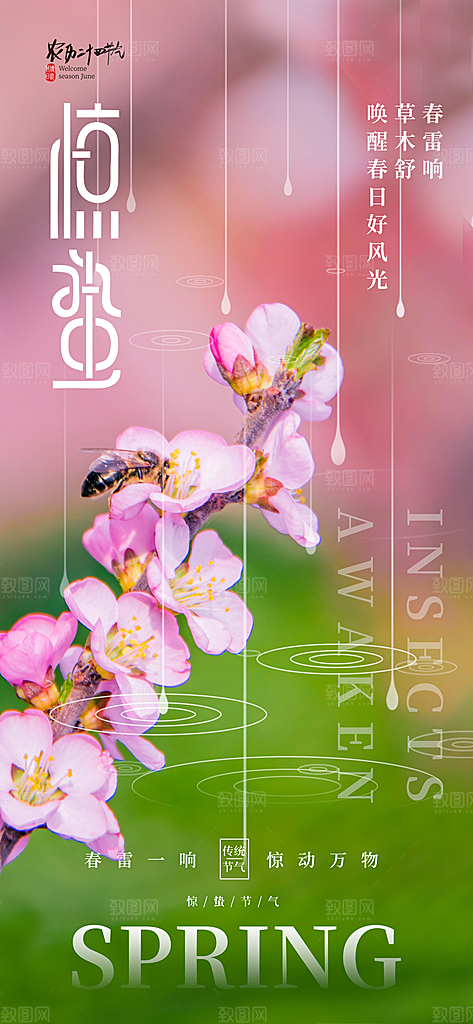 惊蛰二十四节气海报
