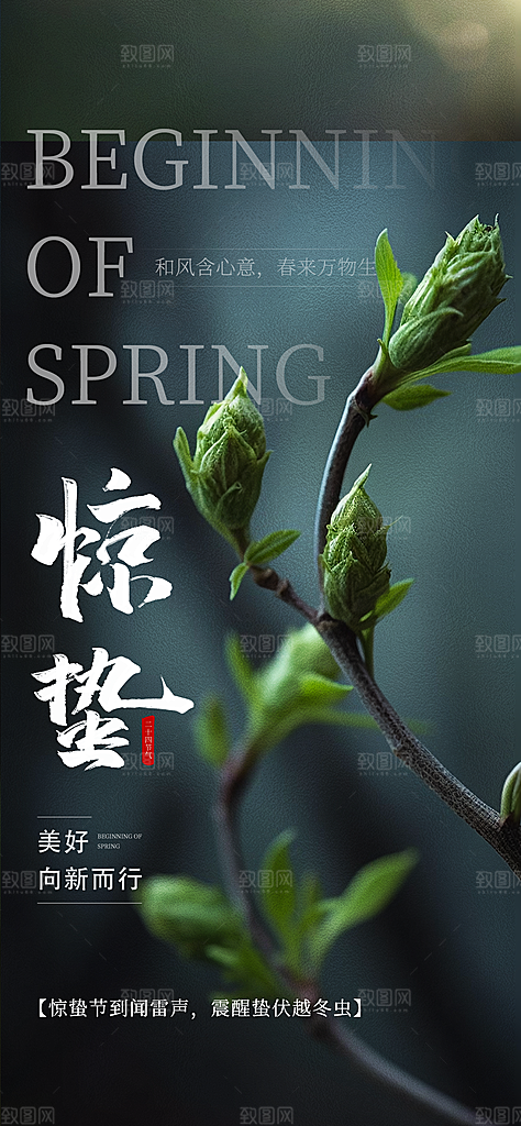 惊蛰二十四节气海报