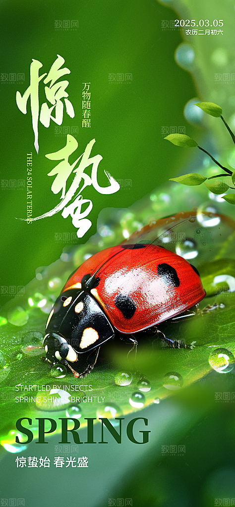 二十四节气惊蛰海报