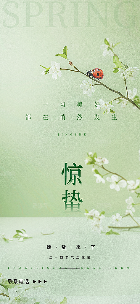 惊蛰二十四节气海报