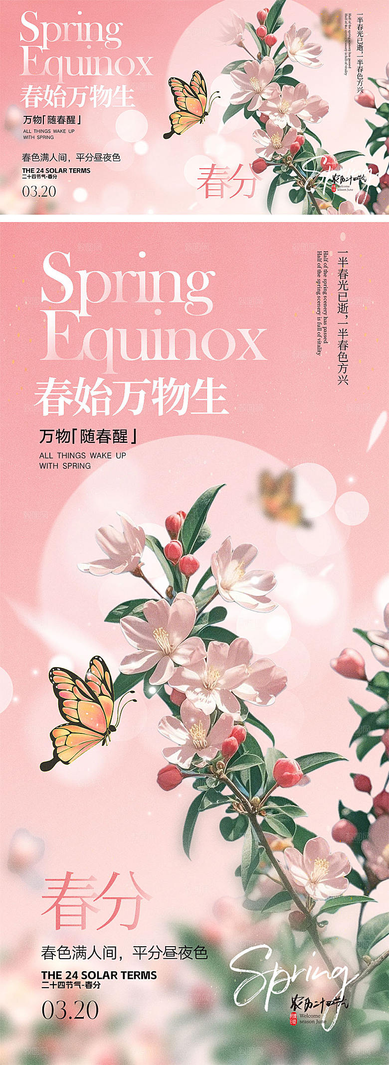 春分节气宣传海报