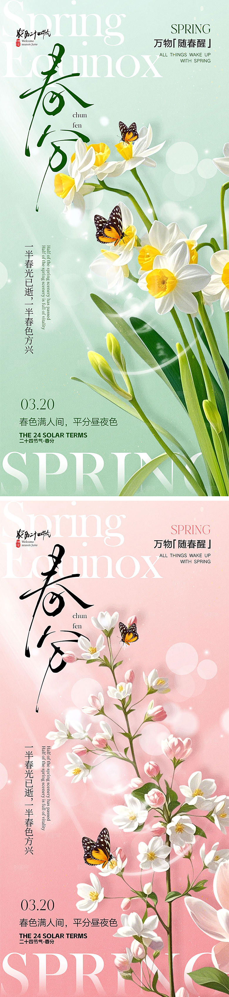 春分节气宣传海报