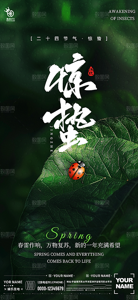 绿色24节气惊蜇宣传海报设计